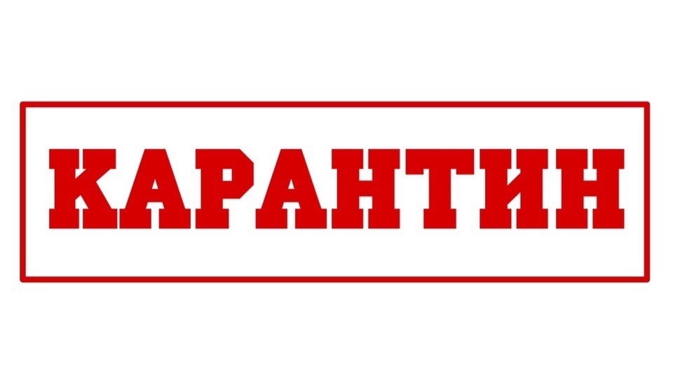 Карантин