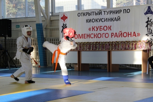 Турнир по киокусинкай на кубок Тюменского района