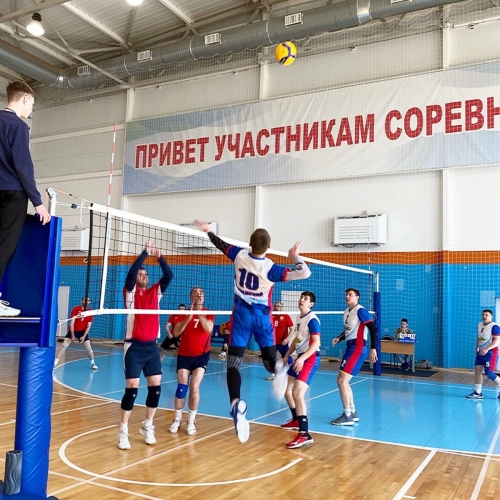 Трудовые коллективы Тюменского района сыграют в волейбол