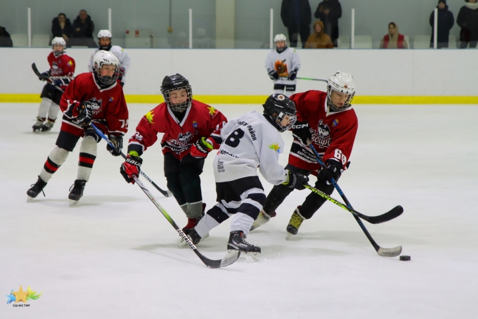 Сегодня — Всероссийский день хоккея